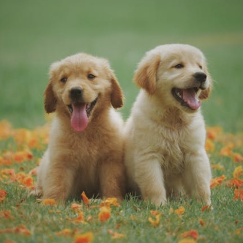 Sample-Featured-Image